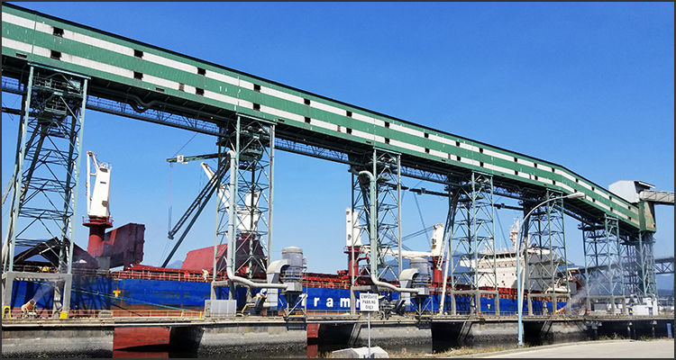 Viterra Grain Terminal